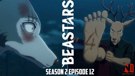 Break My Curse Beastars Season 2 Episode 12 Youtube