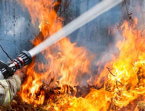 8 Attributes Of Effective Wildland Firefighting Ppe Bk Fire Radios