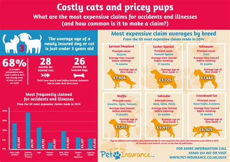 Costly cats and pricey pups - INFOGRAPHIC | www.pet ...