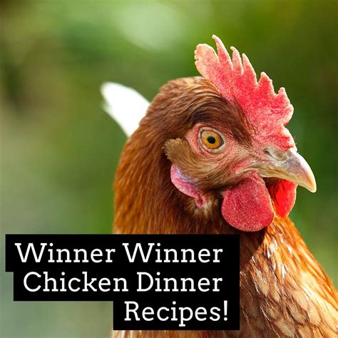 Winner Winner Chicken Dinner Recipes | Chicken dinner recipes, Winner