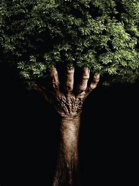 Human Tree Ideias Pinterest