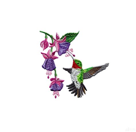 Swnhe101 Hummingbird Enchantment Embroidery Design Machine Embroidery