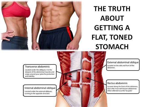 Cardiac muscles work to make your heart function properly, and contract on their own. 3 Stomach Toning Abdominal Exercises - FitForLifECoachSite