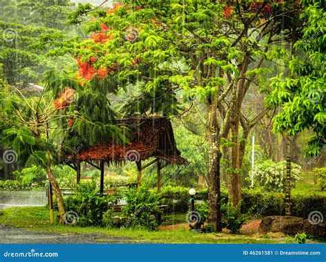 Tropical Downpour Stock Image Image Of Landscape Thailand 46261581