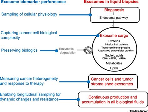 Exosomes As A Multicomponent Biomarker Platform In Cancer Trends In Cancer