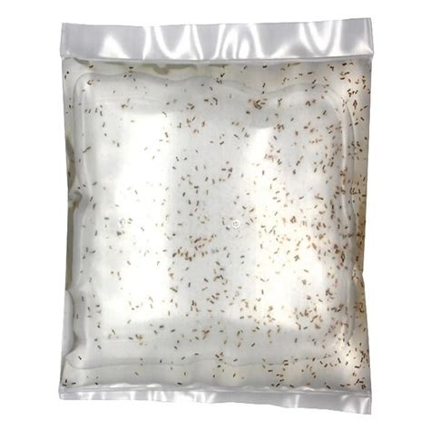 Buy Live Copepods 100ml Online at £1.57