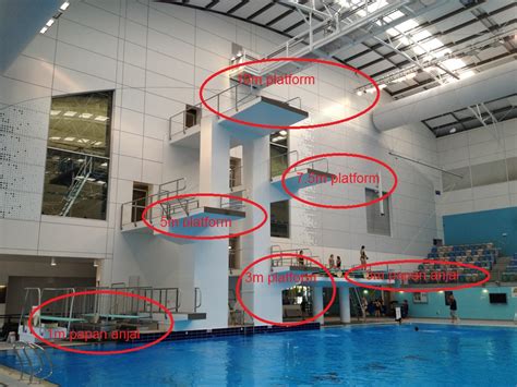 Pandelela rinong merupakan atlet terjun malaysia yang telah berjaya memasyhurkan nama malaysia semasa sukan olimpik 2012 di london. SUKAN TERJUN AIR: ACARA DALAM SUKAN TERJUN