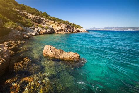 Amoureux de la nature, des animaux ou tout simplement curieux ? La Turquie Bodrum Paysage De La Mer Photo stock - Image du ...