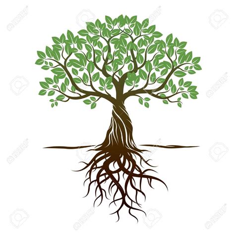 Check spelling or type a new query. Family Tree Clipart at GetDrawings | Free download
