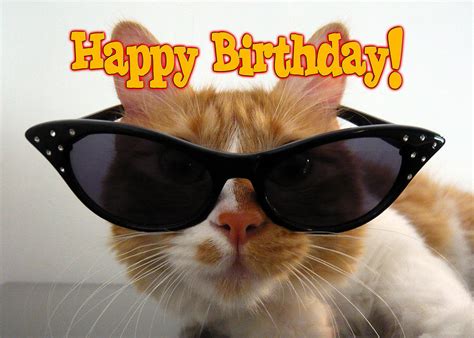 Not a member of pastebin yet? Neil Diamond Fans and Friends: Happy Birthday Teresa!