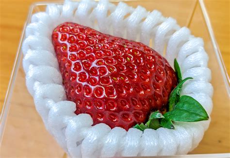 What Its Like To Eat A Super Expensive Japanese Strawberry【taste Test