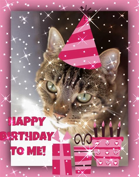 Athena Cat Goddess Wise Kitty Happy Birthday To Me Caturdayart