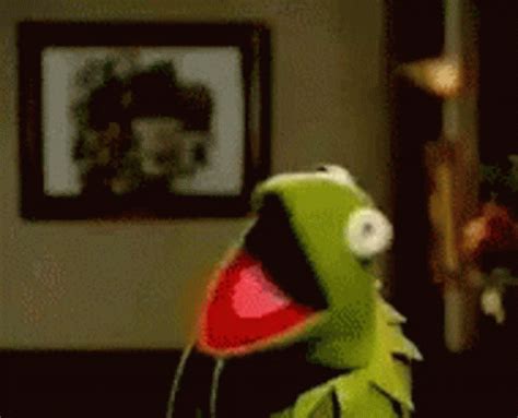 Kermit The GIF Kermit The Frog Discover Share GIFs