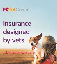 I have had to claim several times over the years for my two dogs, i cannot recommend petplan highly enough. Introducing MiPet Cover pet insurance | Harbour Veterinary Group