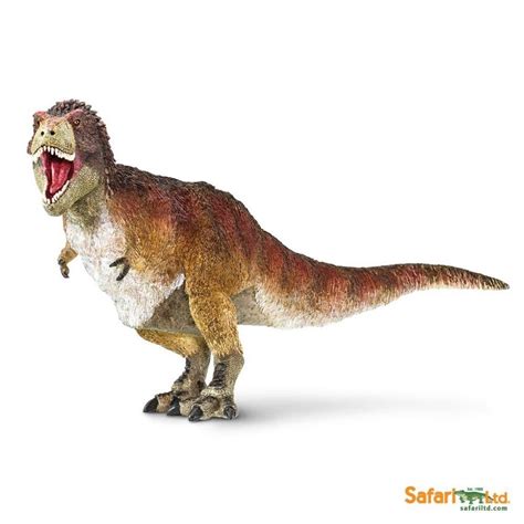 Rex is an internationally acclaimed architecture firm based in new york. Feathered Tyrannosaurus Rex