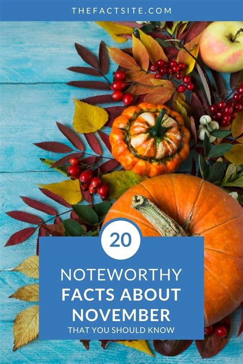 November Fun Facts Calendar Meryl Keeley