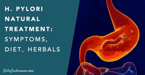 H Pylori Natural Treatment Guide Symptoms Diet Herbals