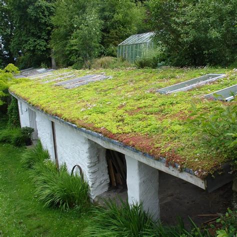 Pitched Green Roofs Turf Roofs And Brown Roofs Hot Sex Picture