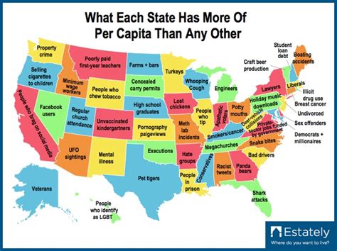 Map Shows What Each State Has More of Than Any Other
