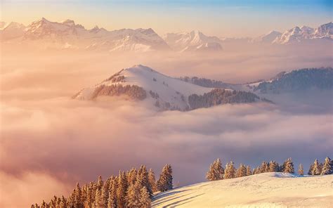 Nature Landscape Mountain Mist Sunrise Forest Snow Trees Winter