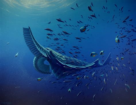 Cambrian Hunter Switched To A Plankton Diet Ars Technica