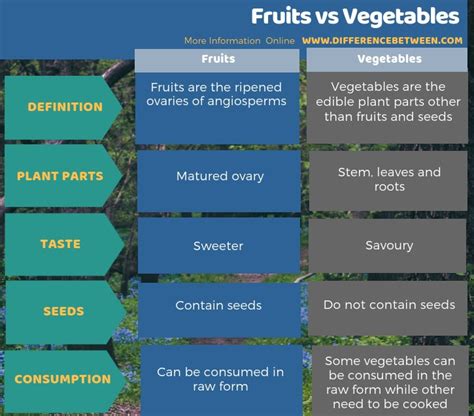 Differences Between Fruits And Vegetables Compare The Difference