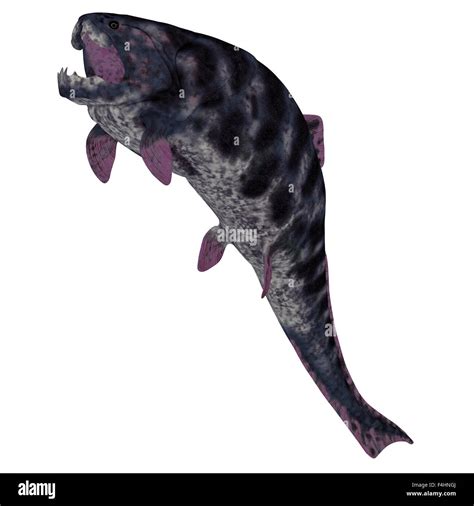 Dunkleosteus Is A Devonian Prehistoric Fish That Lived In The Seas Of