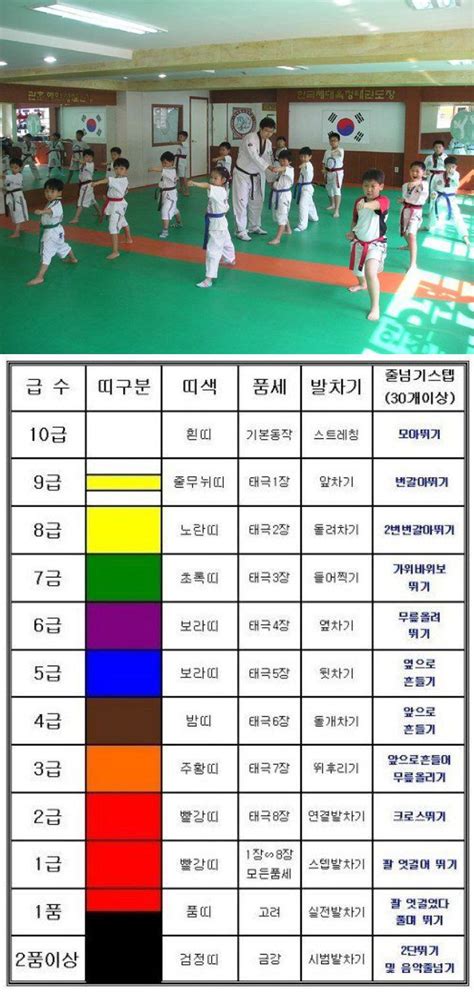 대한민국 사람이라면 이 정도는 알아야하는 기본 상식입니다. 요즘 태권도 띠 종류 근황 - 웃사