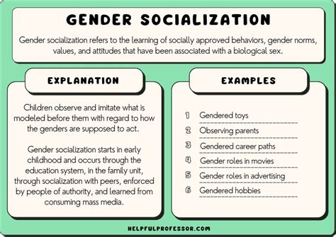 10 Gender Socialization Examples 2024