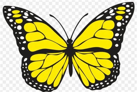 Kumpulan gambar kartun kupu kupu hitam putih himpun kartun. +1001 Keindahan Sketsa Gambar Kupu - kupu Terelengkap dan ...