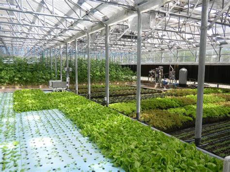 Automated Greenhouse Climate Control Farming For Industrial Commercial Global Id