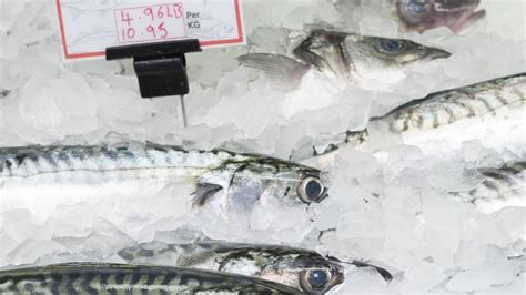 How To Tell If Seafood Is Actually Fresh