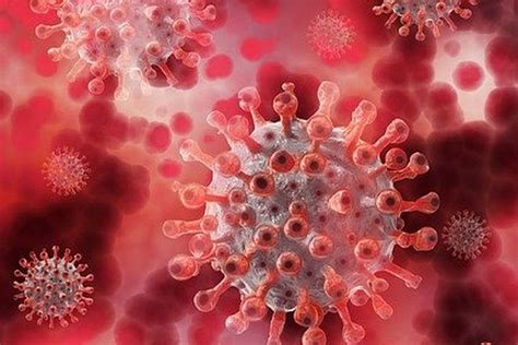 Explore literature, identify clinical trials, and compounds used in them. ¿Por qué el Sars-CoV-2 es tan letal?