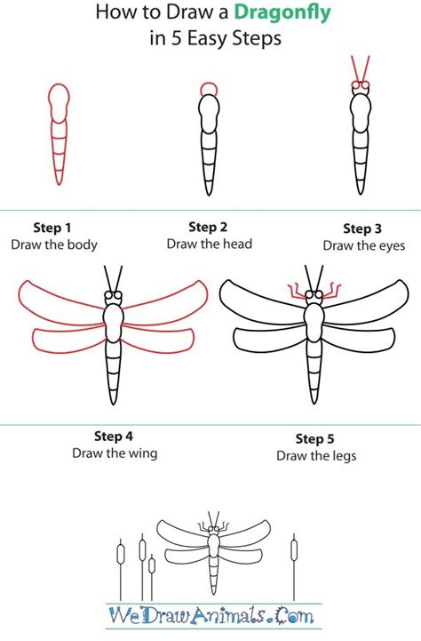How To Draw A Dragonfly Step By Step Dragonfly Art Dragonfly Drawing