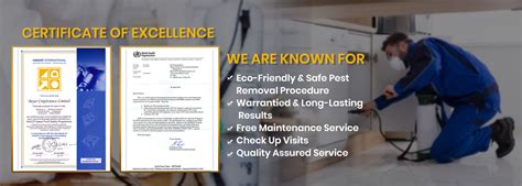 We provide integrated pest control services. Pest Control Services In Delhi NCR, Gurgaon, Faridabad, Noida
