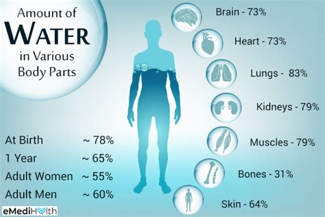 8 Benefits Of Drinking Water How Much To Drink Per Day