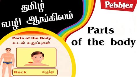 Spoken English Through Tamil For Kids Learn English Parts Of The