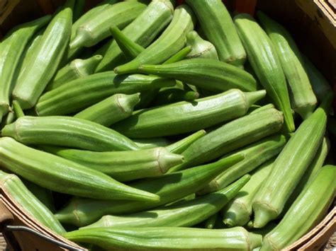 Improve native soil by mixing in several inches of aged compost or other rich organic matter. Okra | Sakata