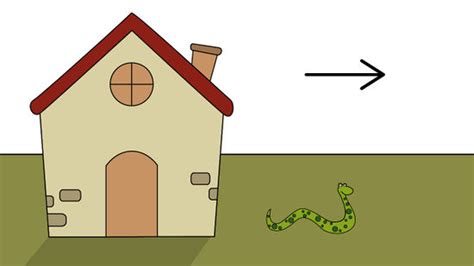 Berikut simak cara untuk mencegah. Cara Mengusir Ular Yang Bersembunyi Di Dalam Rumah ...