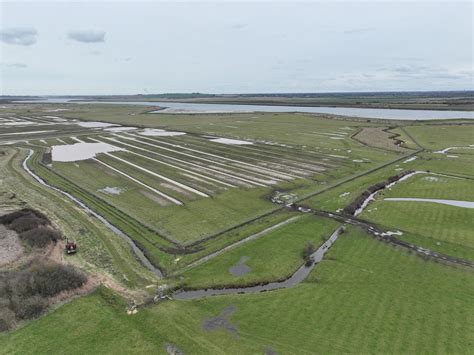40 Hectare Wetland To Benefit Breeding Birds At Blue House Farm Essex