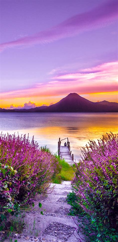 1440x2960 Volcano Sunset Flower Purple Dreamy Landscape 4k 5k Samsung