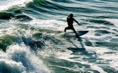 48 Free Surfing Wallpaper And Screensavers Wallpapersafari