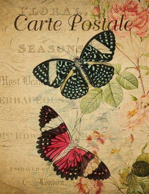 Butterflies Vintage Postcard Free Stock Photo Public