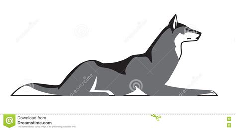 Wolf Lying Down Vector Image Stock Vector Illustration Of Authority