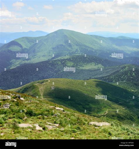 Beautiful Mountains Covered Trees Stock Photo Alamy