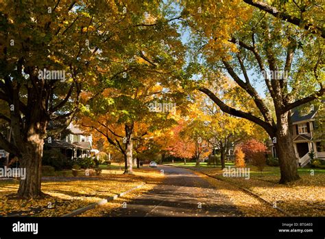 Newton Neighborhood In Fall Stock Photo Alamy