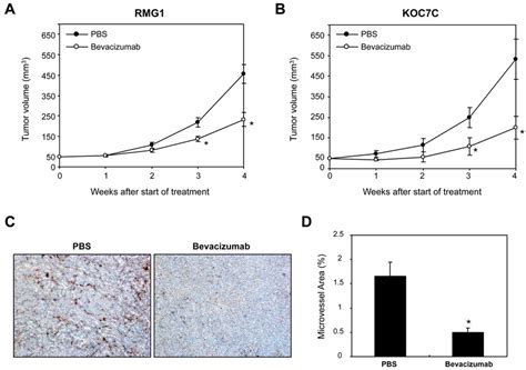 Effect Of Bevacizumab On The Growth Of Ovarian Ccc In Vivo Download