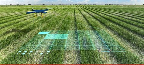 Artificial Intelligence The Future Of Agriculture Pakistan And Gulf