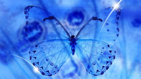 The best selection of royalty free butterfly background vector art, graphics and stock illustrations. Blue Butterfly Wallpapers - Wallpaper Cave