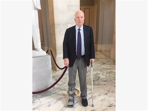 Tendons are connective tissues that attach muscles to bones and and transfer muscular tension to ligaments are structurally similar to tendons that connect bones to other bones and tightly bind. Senator McCain Treated For Torn Achilles Tendon | Phoenix ...